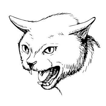 freehand sketch illustration of angry cat, kitten doodle hand drawn