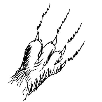 freehand sketch illustration of cat claw doodle hand drawn