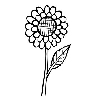 freehand sketch illustration of flower doodle hand drawn in kid style