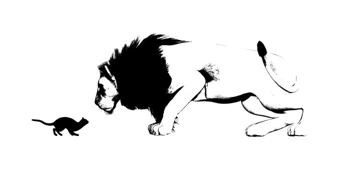 Mirror of Cat and Lion as a Adversity Concept
