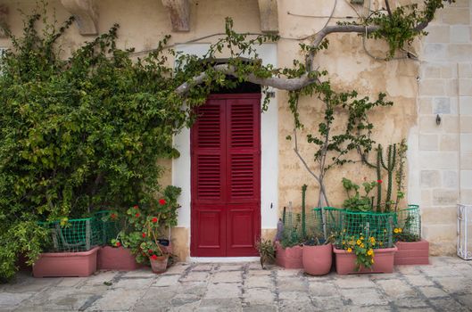 Door with a red shutter, among many plants. Street of city Senglea, mediterranean island Malta.