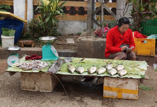 LUANG PRABANG, LAOS - FEBRUARY 13, 2016: People on the morning open air market of Luang Prabang on February 13, 2016 in Laos, Asia