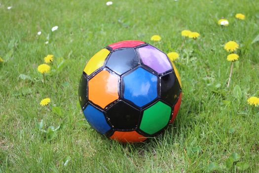 Colorful  soccer ball in a grass field with dandelions