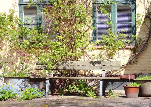 Backyard with a bench and climbing weeds