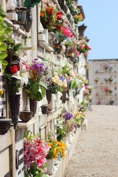 Cemetery for urns in italian village with flowers