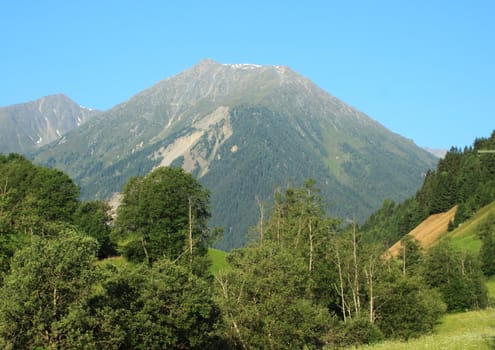 View on mountain and forest in the Alpes