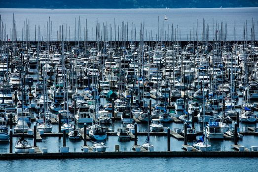 Birds eye view on marina with various docked sailboats in Seattle, Washington