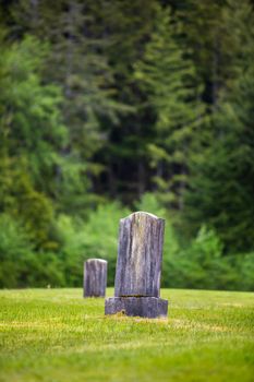 Blank gravestone on a grassy hillside