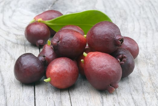 Cattley guava (Psidium littorale subsp. longipes) or Peruvian guava or Red Cherry Guava or Strawberry guava or Psidium cattleianum or Psidium chinense or Psidium coriaceum or Psidium humile or Psidium variabile ,vintage engraving. rare esotic fruit.