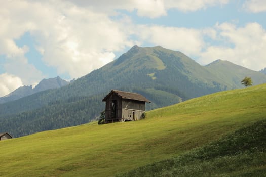 Single shelter in hay field in the Alps