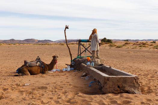 Berber man with camels at the well takes water, Morocco