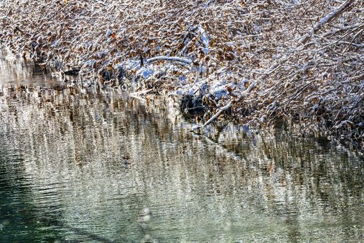 Winter Leaves Snow Ice Abstract Wenatchee River Stevens Pass Leavenworth Washington