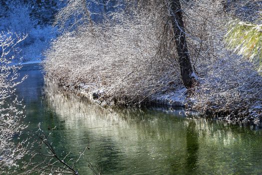 Green River Winter Leaves Branches Snow Ice Reflection Wenatchee River Stevens Pass Leavenworth Washington