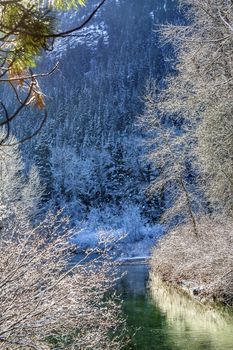 Winter Leaves Snow Ice Blue Mountain Wenatchee River Stevens Pass Leavenworth Washington