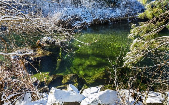 Winter Leaves Snow Ice Wenatchee River Stevens Pass Leavenworth Washington