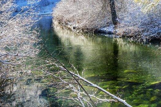 Winter Leaves Snow Ice Wenatchee River Stevens Pass Leavenworth Washington