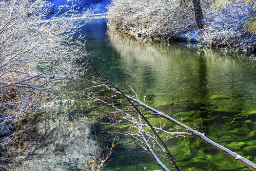 Winter Leaves Snow Ice Wenatchee River Stevens Pass Leavenworth Washington