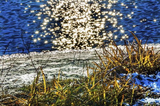 Wenatchee River Stars Winter Leaves Near Stevens Pass Leavenworth Washington