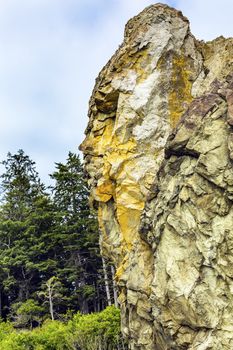 Old Man Stone Formation Ruby Beach Reflection Seastacks Olympic Peninsula Olympic National Park Washington State Pacific Northwest