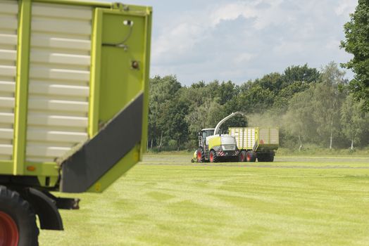 forage harvester and transport of grass with tractor and a loader wagon in the summer