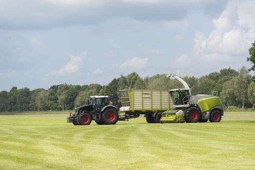 forage harvester and transport of grass with tractor and a loader wagon in the summer