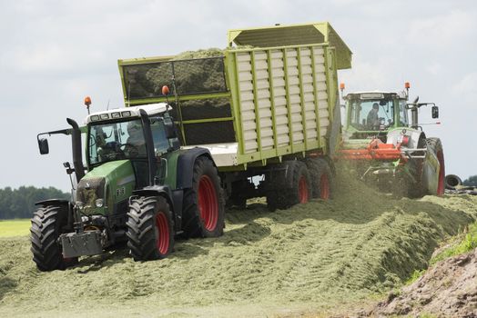 silage with two tractors in the summer