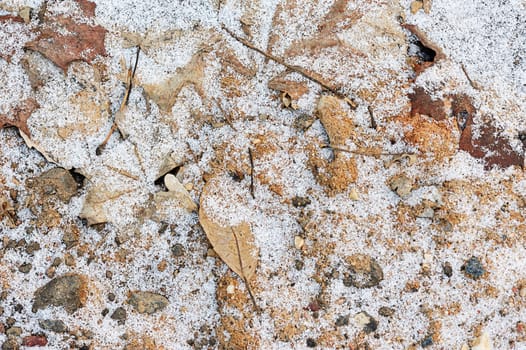 Frozen ground with snow and leaf in winter