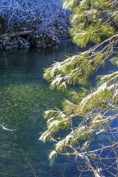 Winter Leaves Snow Ice Wenatchee River Stevens Pass Leavenworth Washington