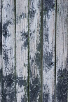 Old grey and green wood plank texture