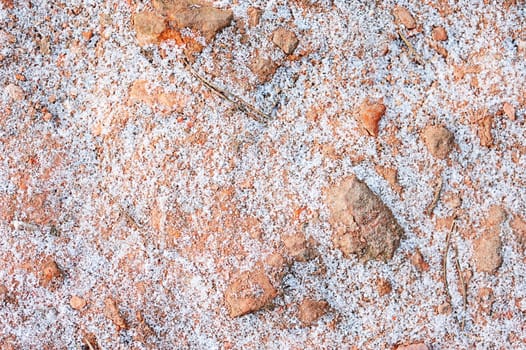 Snow around red stones texture in winter