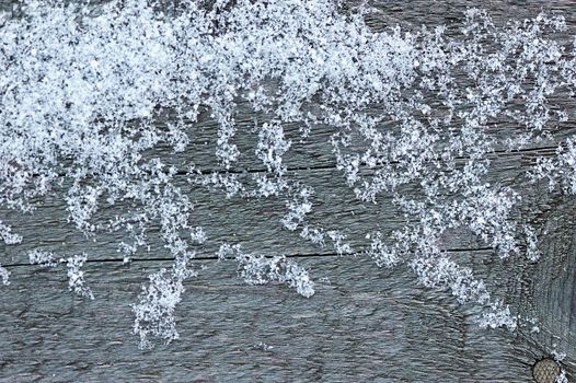 Snow on wood grey plank in winter