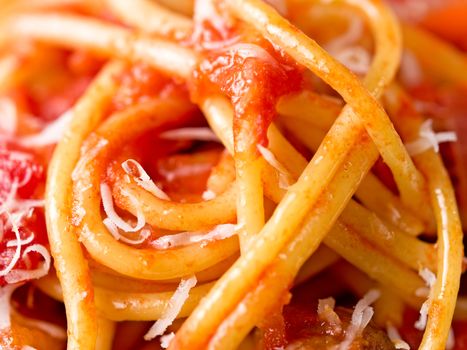 close up of rustic italian bucatini amatriciana