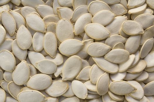 White raw in shell pumpkin seeds close-up background
