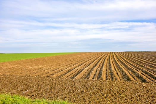 Farmland - brown field, blue sky, rural landscape