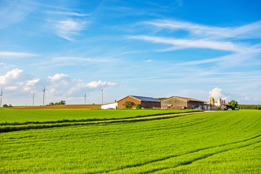 Bartholomae, Germany - May 26, 2016: Farm surrounded by green fields / meadow, blue sky