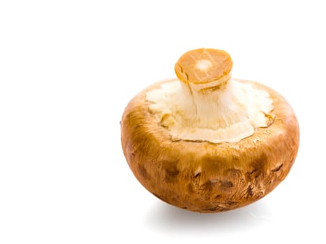 natural mushrooms champignons isolated on white background