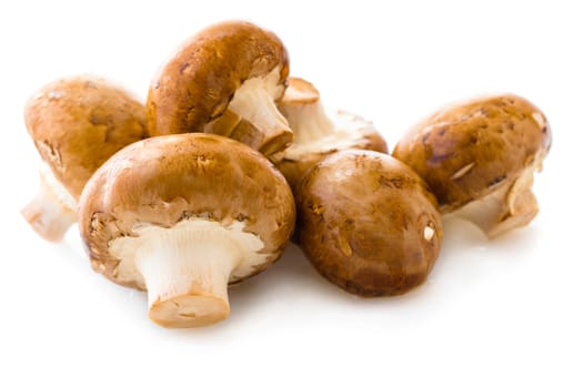 natural mushrooms champignons isolated on white background
