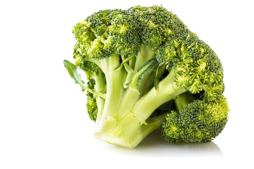 the broccoli close-up isolated on white background