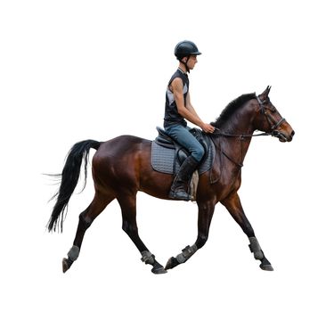 man riding on a horse isolated white background