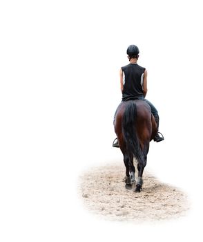 man riding on a horse isolated white background