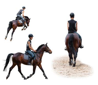man riding on a horse isolated white background