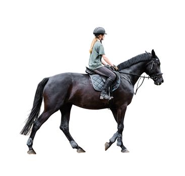 woman riding on a horse isolated white background