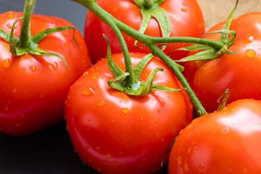 branch of organic tomatoes close-up on a dark background