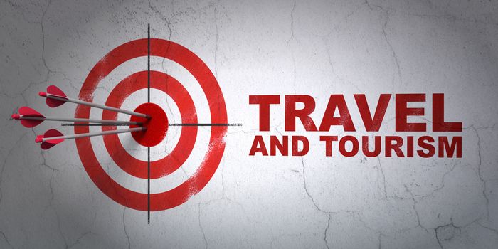 Success vacation concept: arrows hitting the center of target, Red Travel And Tourism on wall background, 3D rendering