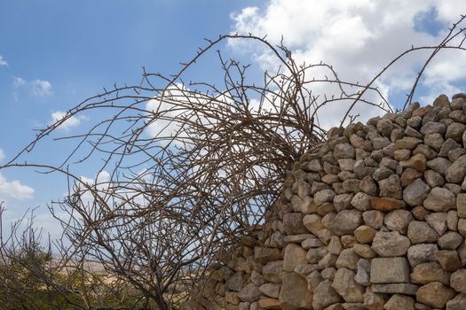Fence made of stones picked from the field, which the fence is lining. Wild bush in the spring, still without leaves. Blue sky, white clouds.
