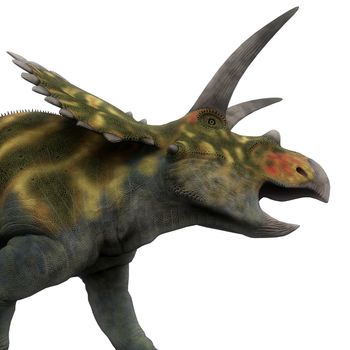 Coahuilaceratops was a ceratopsian herbivorous dinosaur that lived in the Cretaceous Period of Mexico.