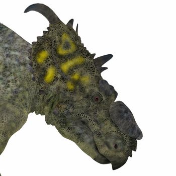 Pachyrhinosaurus was a ceratopsian herbivorous dinosaur that lived in the Cretaceous Period of Alberta, Canada.