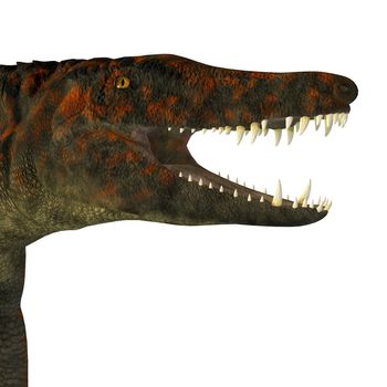 Uberabasuchus was an archosaur carnivorous crocodile that lived in the Cretaceous Period of Brazil.