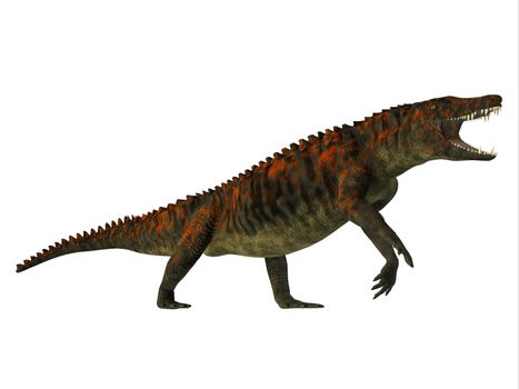 Uberabasuchus was an archosaur carnivorous crocodile that lived in the Cretaceous Period of Brazil.