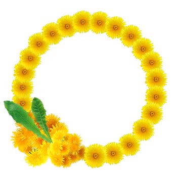Nice border made from yellow dandelion flowers on white background